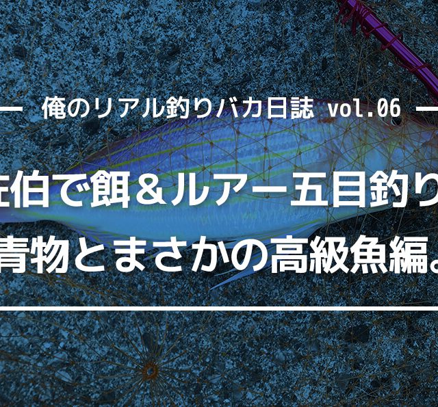 佐伯で餌&ルアー五目釣り。青物とまさかの高級魚編。イトヨリダイ。