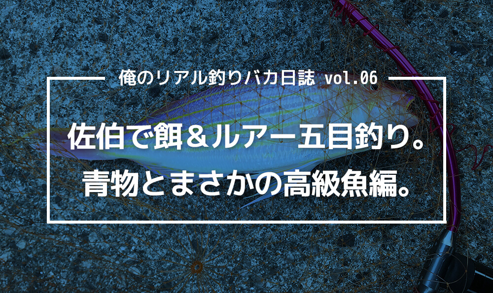 佐伯で餌 ルアー五目釣り 青物とまさかの高級魚編 Triblog 株式会社トリアナのブログ