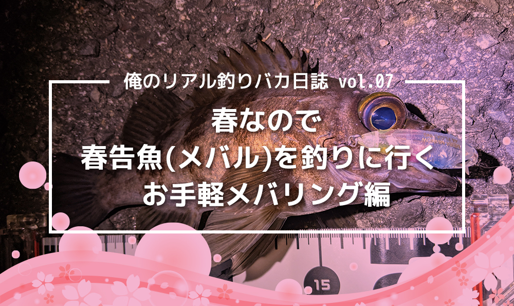春なのでメバルを釣る。メバリング編。