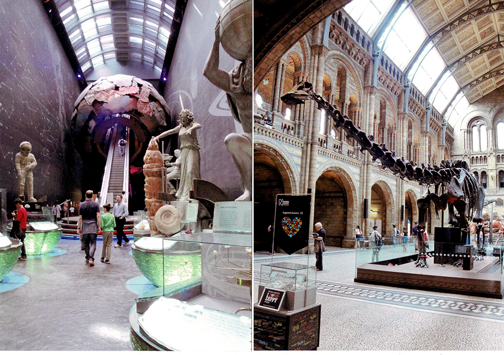 ロンドン自然史博物館